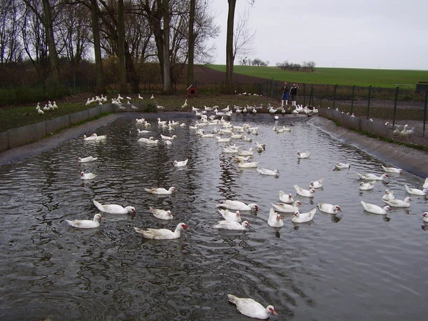 Naturlandhof Schlanstedt