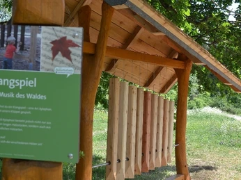 Klangspiel im Weltwald Bad Grund