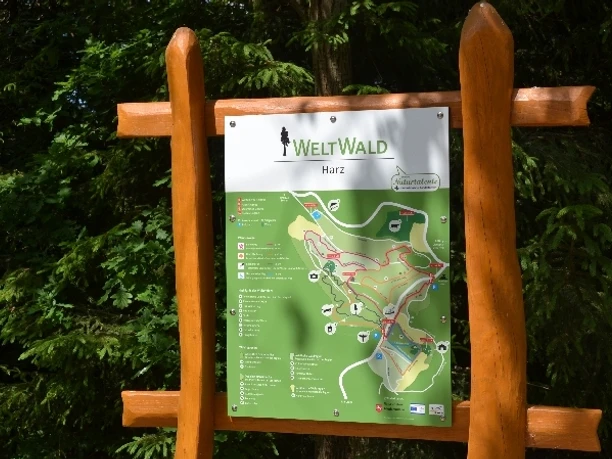 Infotafel im Weltwald Bad Grund