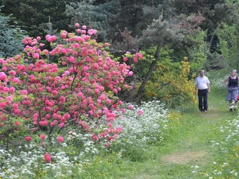 Besucher im Weltwald Bad Grund