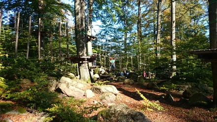 Waldseilgarten - Erlebniswald Ilsetal Ilsenburg
