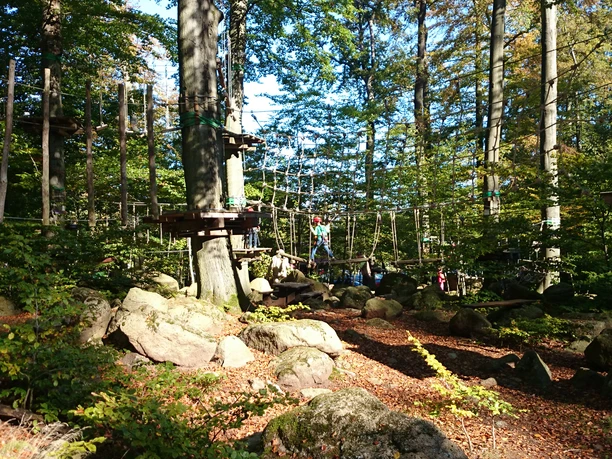 Waldseilgarten - Erlebniswald Ilsetal Ilsenburg