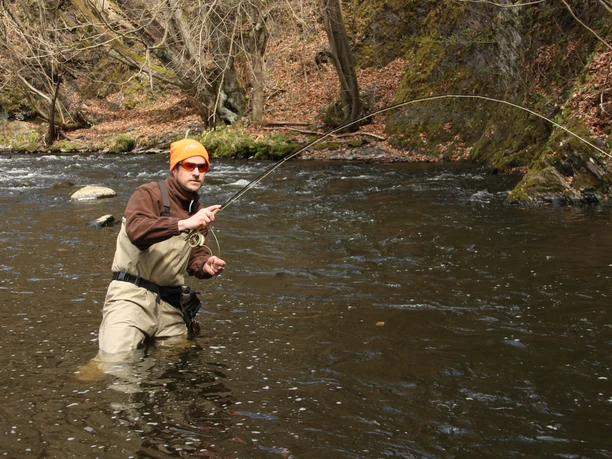 Fliegenfischen in der Bode