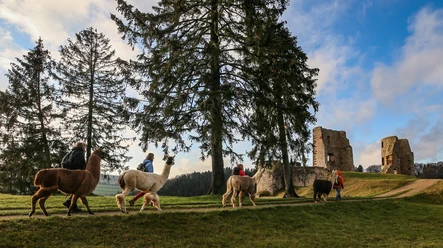 Eifelnomaden an der Burgruine Schönecken