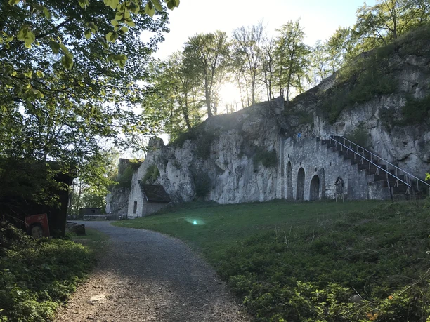 Ansicht Burgruine Scharzfels