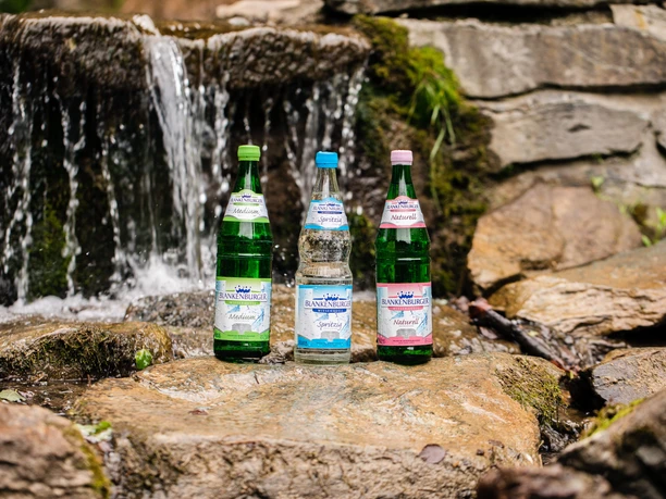 Blankenburger Wiesenquell Mineralwasser vor Wasserfall