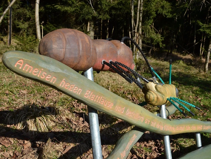 Harzer-Hexen-Stieg-Erlebnisinsel-Sankt-Andreasberg