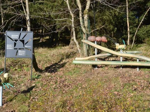 Harzer-Hexen-Stieg-Erlebnisinsel-Sankt-Andreasberg-Ansicht