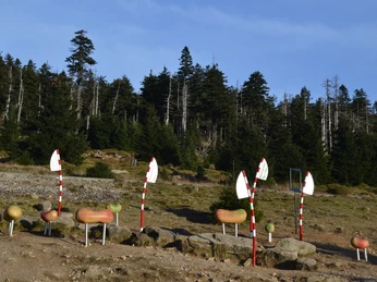 Harzer-Hexen-Stieg, Erlebnisinsel Goethebahnhof