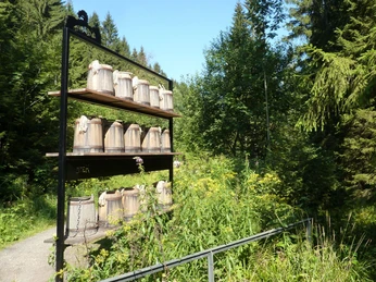 Harzer Hexen Stieg - Erlebnisinsel Altenau Harzer Hexen Stieg - Erlebnisinsel Altenau