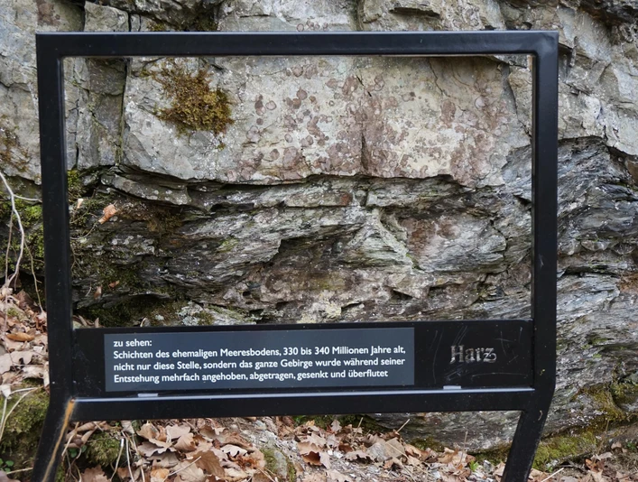 Geologische Einblicke am Harzer-Hexen-Stieg