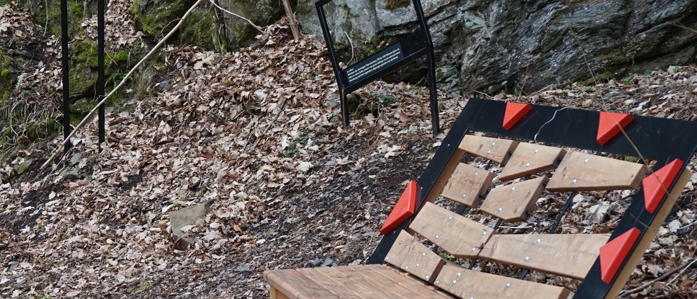 Geologische Einblicke am Harzer-Hexen-Stieg