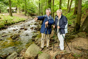 An der Ilse im Ilsetal