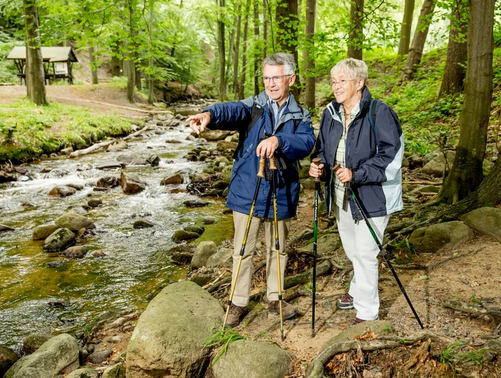An der Ilse im Ilsetal