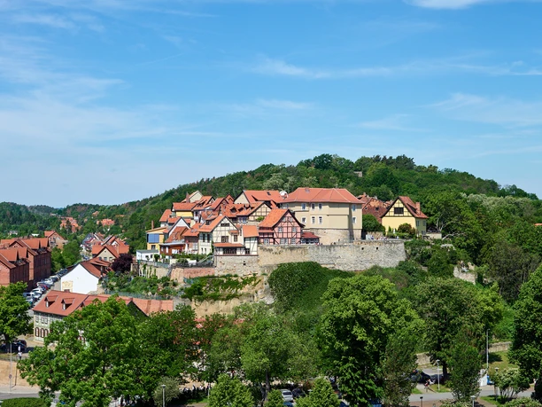 Münzenberg, Grablegen Ostkrypta