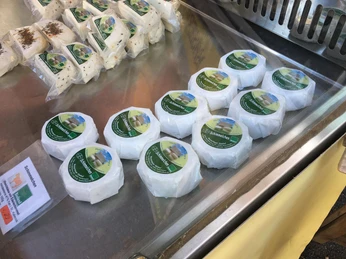 Westerhäuser Käsehof - Schimmelchen