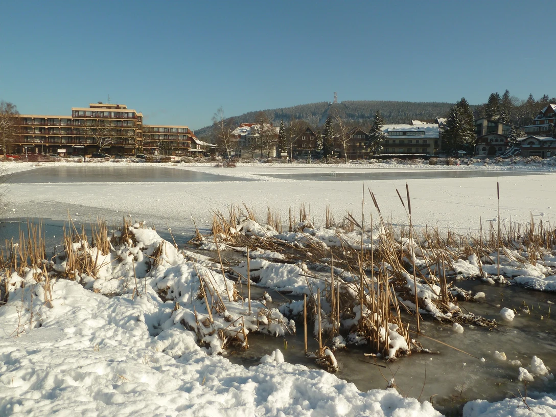 Natureisfläche Hahnenklee