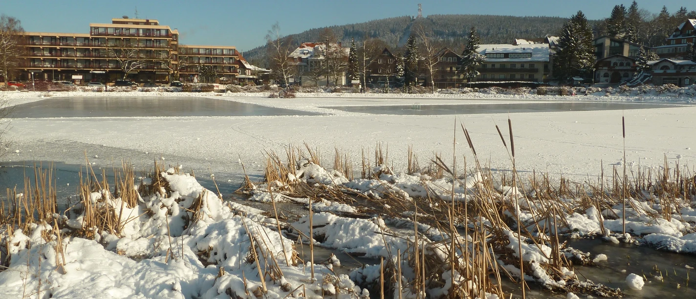 Natureisfläche Hahnenklee