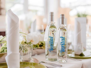 Harzer Wasser Manufaktur Gastro