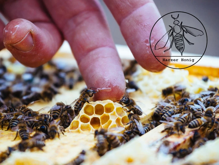 Landwirtschaft Tilman Dreysse - Honigfinger