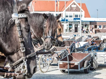 Juister Hafen - Hafen Juist Juister Hafen - Hafen JuistJuist harbor - Juist harborJuist havn - Juist havnJuist haven - Juist haven