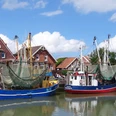 neuharlingersiel Hafen von Neuharlingersiel mit bunten Fischerbooten und traditioneller Backsteinarchitektur im Hintergrund.