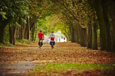b-rgergarten_radfahren_bestager_fahrend_von-_hinten-5
