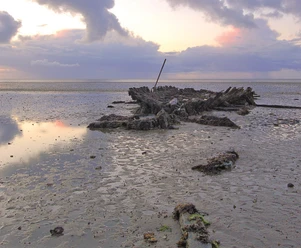 Das Schiffswrack ist nur bei Ebbe sichtbar