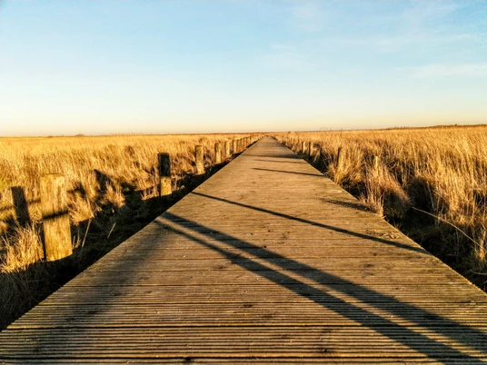 Holzsteg Wattseite