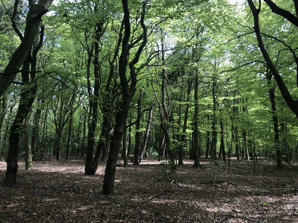 Friedrichshain in Westerland