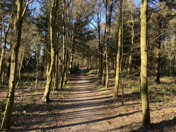 Nordwäldchen in Westerland