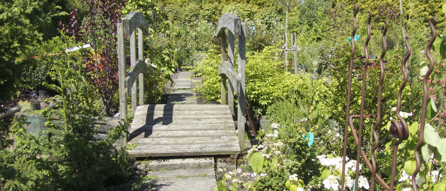 Gartencenter Schittenhelm der Baumschule Leezdorf Holzbrücke inmitten eines blühenden Gartens mit farbenreicher Bepflanzung und üppigem Grün.