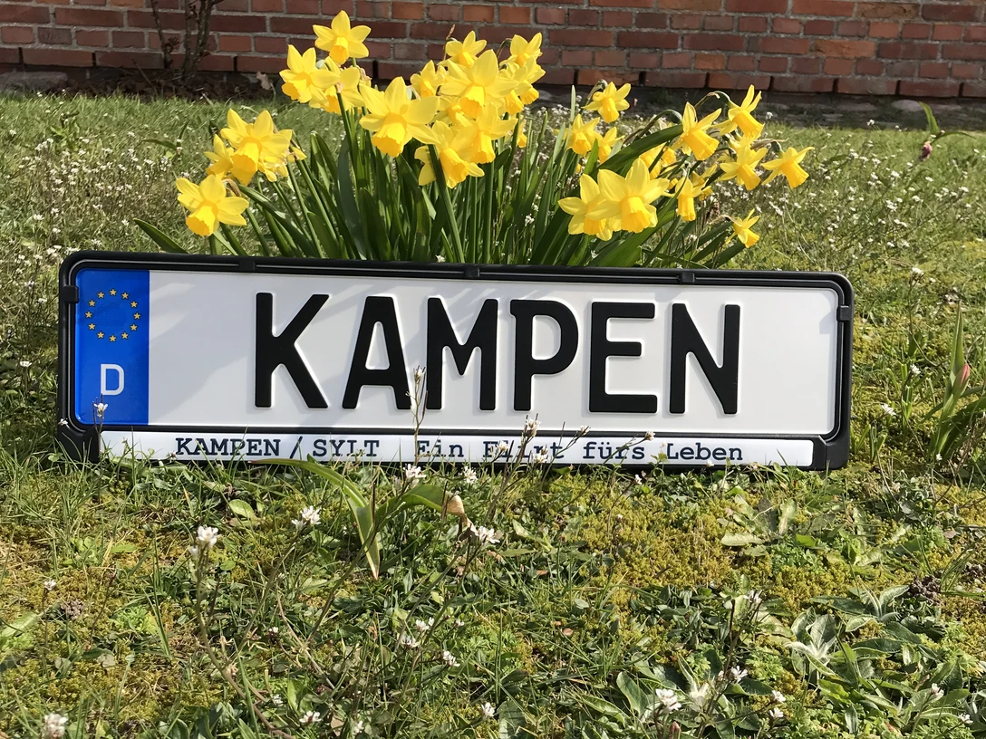 Kennzeichenhalterung