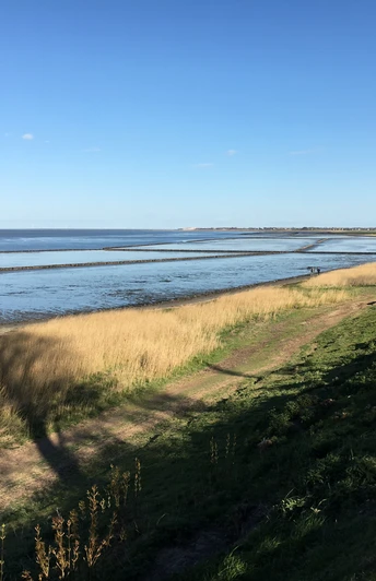 Grünes Kliff in Keitum