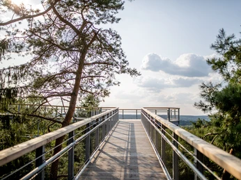 baumwipfelpfad-aussicht