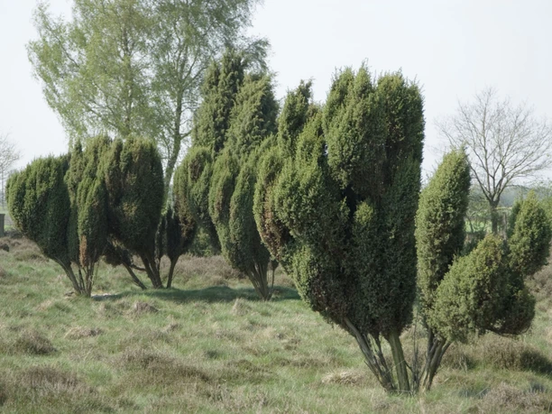 Landschaftsbild