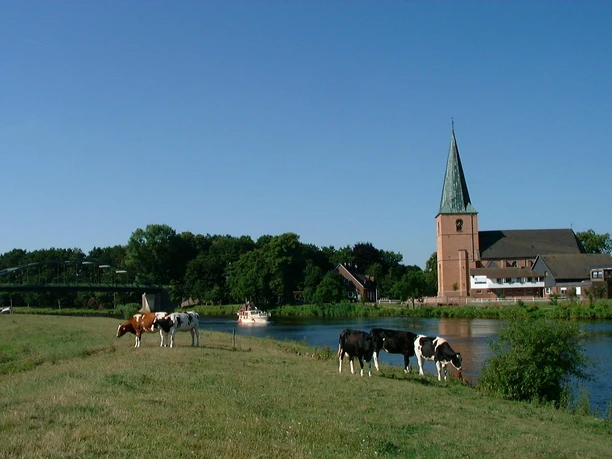 St.-Georgs-Kirche in Steinbild Backsteinkirche mit hohem Turm am Flussufer, davor grasende Kühe auf einer grünen Wiese.