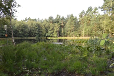 heideweiher-statt-1