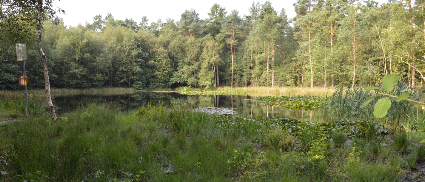 heideweiher-statt-1