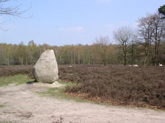grenz-bergreifendes-naturschutzgebiet-der-samtgemeinde-uelsen
