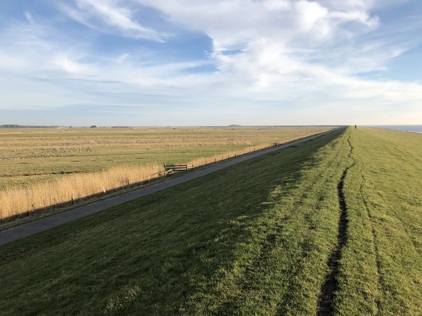 Nössedeich in Archsum mit Zugvögeln