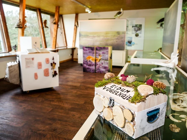 Ausstellung in der Eidum Vogelkoje