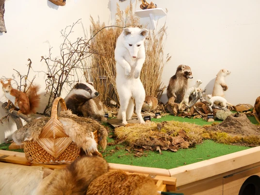 Ausstellung in der Eidum Vogelkoje