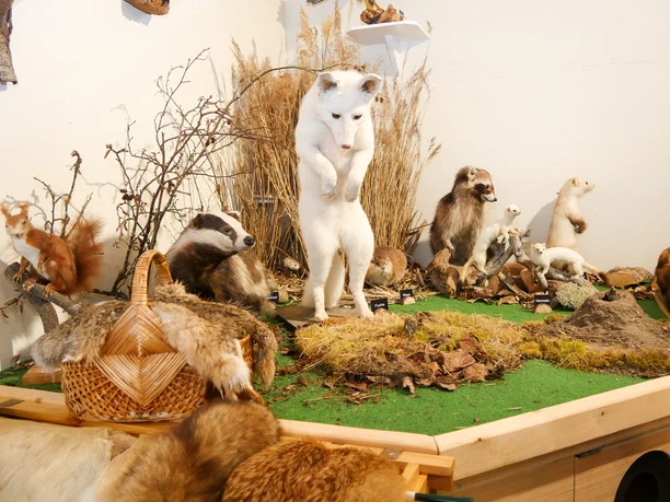 Ausstellung in der Eidum Vogelkoje