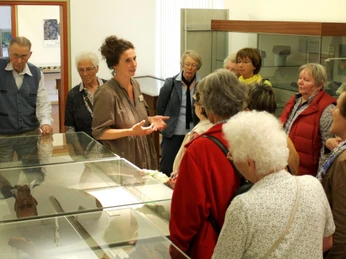 Führungen durch das Bachmann-Museum Führungen durch das Bachmann-MuseumGuided tours through the Bachmann MuseumGuidede ture på Bachmann-museetRondleidingen door het Bachmann Museum