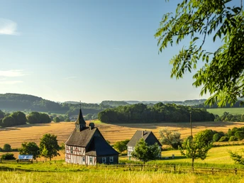 Fachwerkhaus und Wiesenlandschaft in Detmold bei Sonnenschein, umgeben von Feldern und Hügeln.