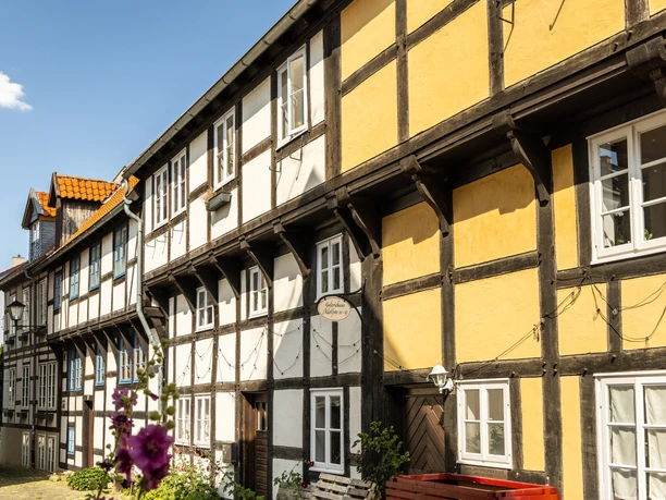 Fachwerkhäuser in einer sonnigen, gepflasterten Straße in Detmold, Deutschland.
