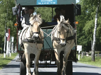 Eine Kremserfahrt ist immer ein Erlebnis
