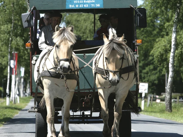 Eine Kremserfahrt ist immer ein Erlebnis