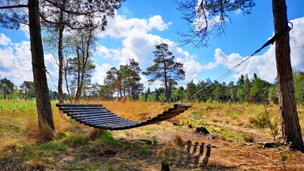 Schöner Platz zum Verweilen im Naturschutzgebiet Tister Bauernmoor Schöner Platz zum Verweilen im Naturschutzgebiet Tister Bauernmoor